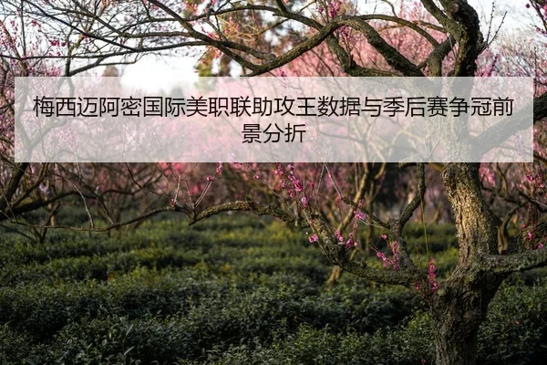 梅西迈阿密国际美职联助攻王数据与季后赛争冠前景分折