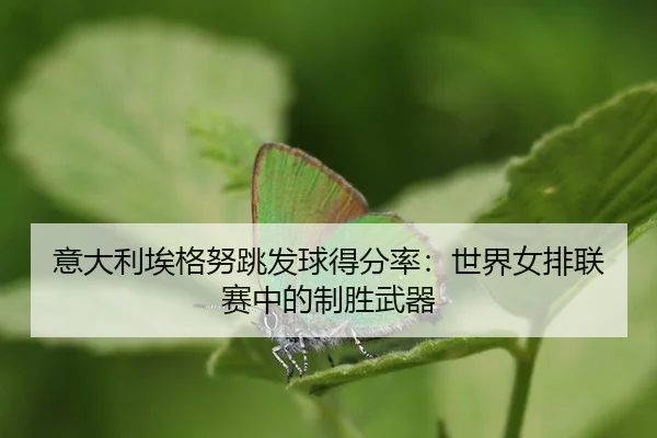 yi-da-li-ai-ge-nu-tiao-fa-qiu-de-fen-lv-shi-jie-nv-pai-lian-sai-zhong-de-zhi-sheng-wu-qi-3-492.jpg