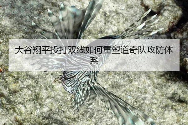 大谷翔平投打双线如何重塑道奇队攻防体系