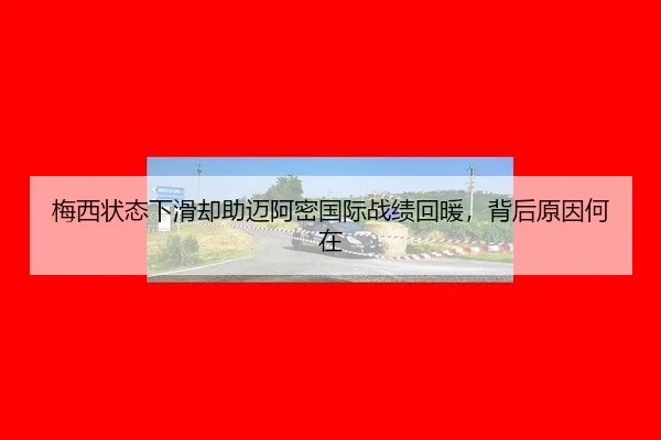 mei-xi-zhuang-tai-xia-hua-que-zhu-mai-a-mi-guo-ji-zhan-ji-hui-nuan-bei-hou-yuan-yin-he-zai-3-953.jpg