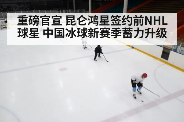 Chinese ice hockey training