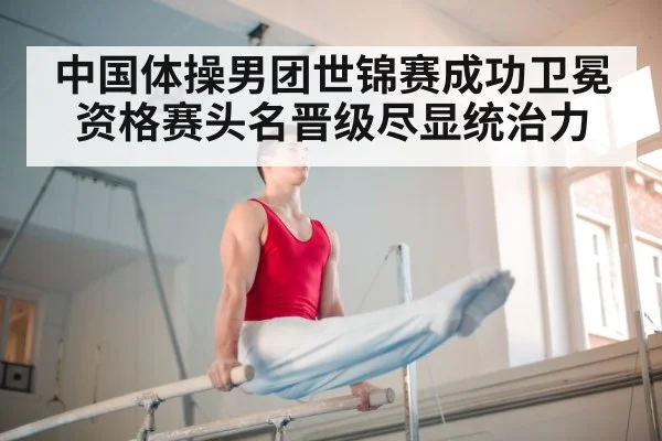 parallel bars gymnastics